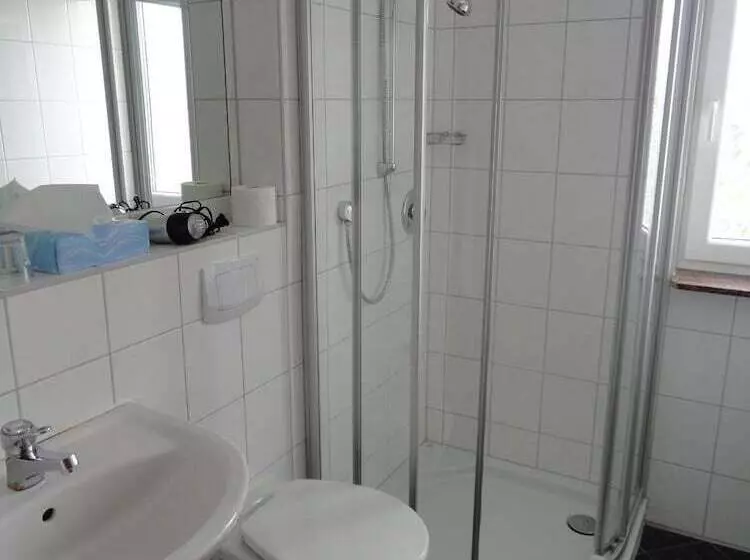 ペンション Landgasthof Traube