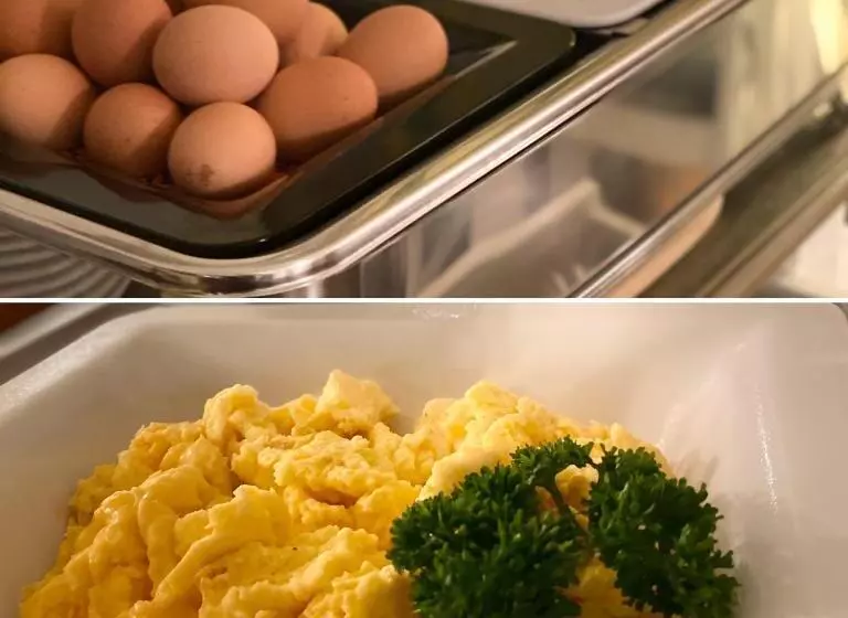 بنسيون Landhotel Vessens Hoff