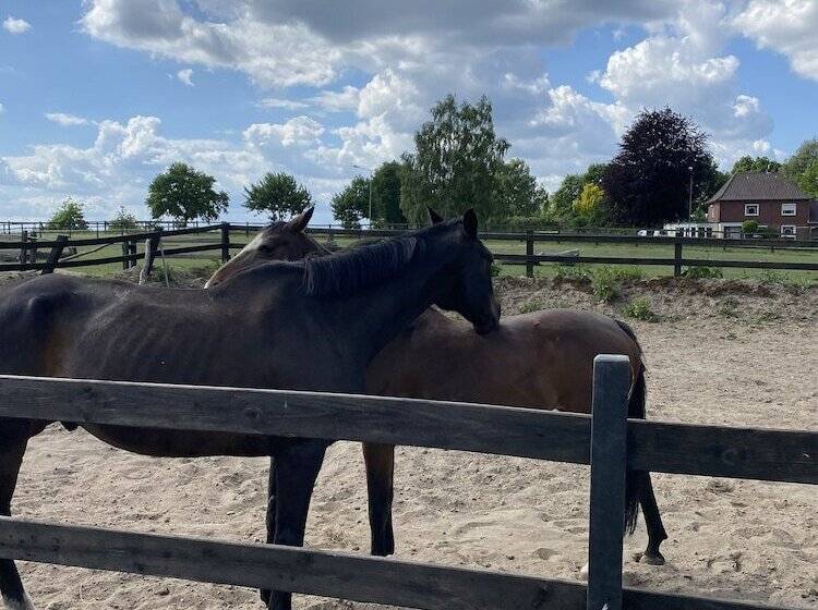 بنسيون Landhotel Vessens Hoff