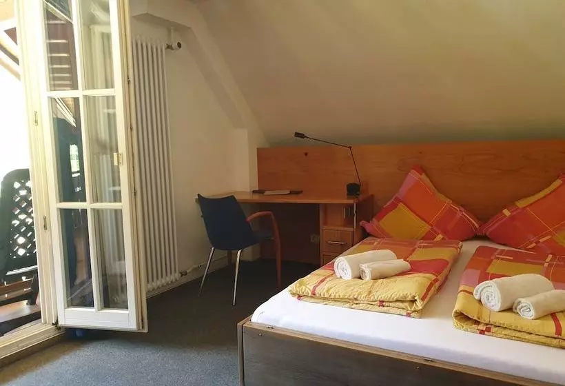 بنسيون Luchs Hostel Im Hirschen