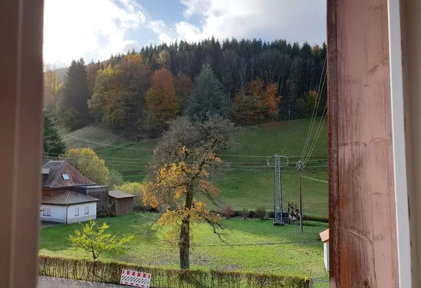 بنسيون Luchs Hostel Im Hirschen