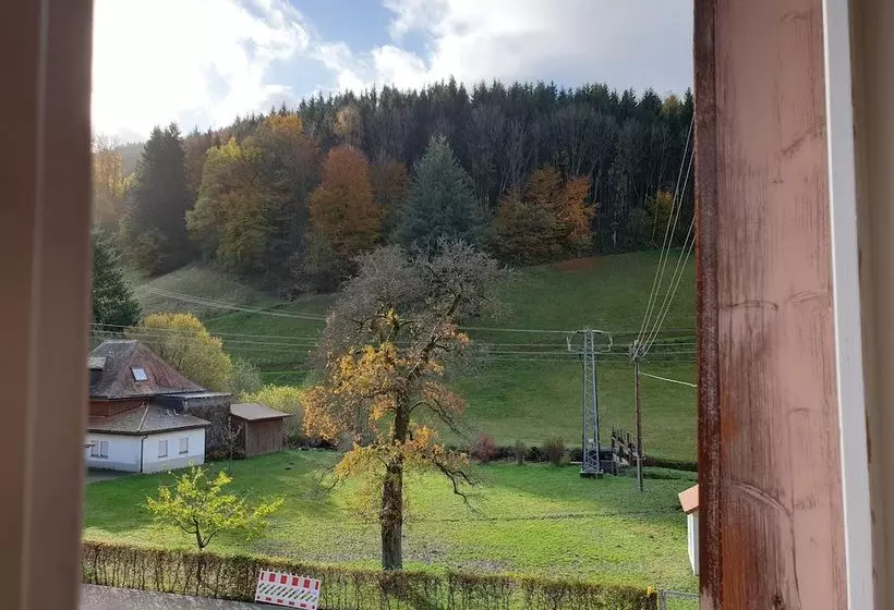 بنسيون Luchs Hostel Im Hirschen