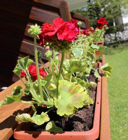 Appartement Hotel Happy Kienberg