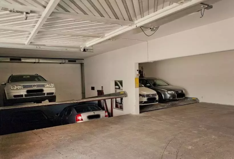 Отель Alt Ringlein