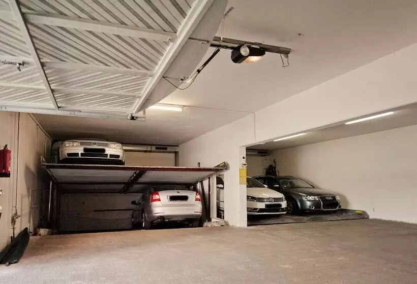 Отель Alt Ringlein