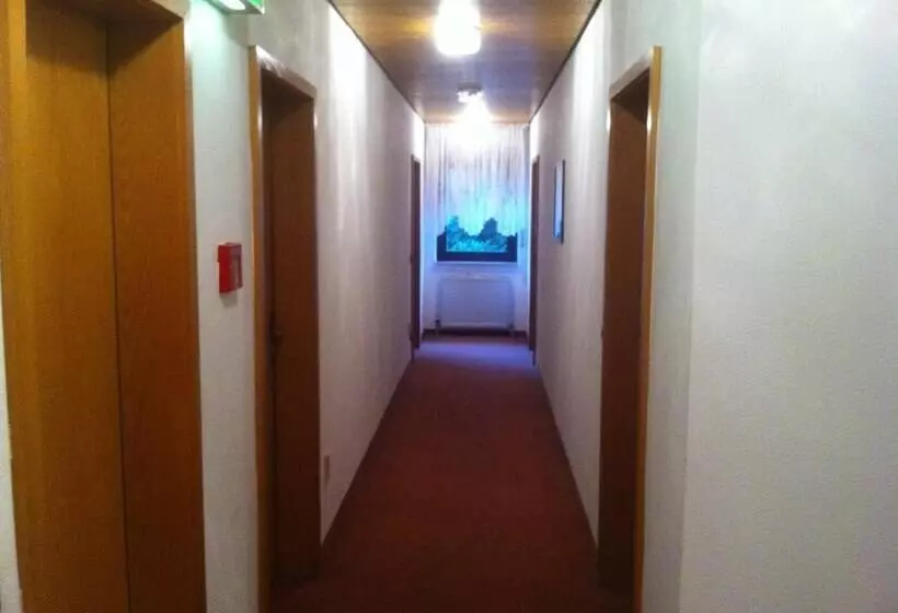 호텔 Bacchusstube Garni