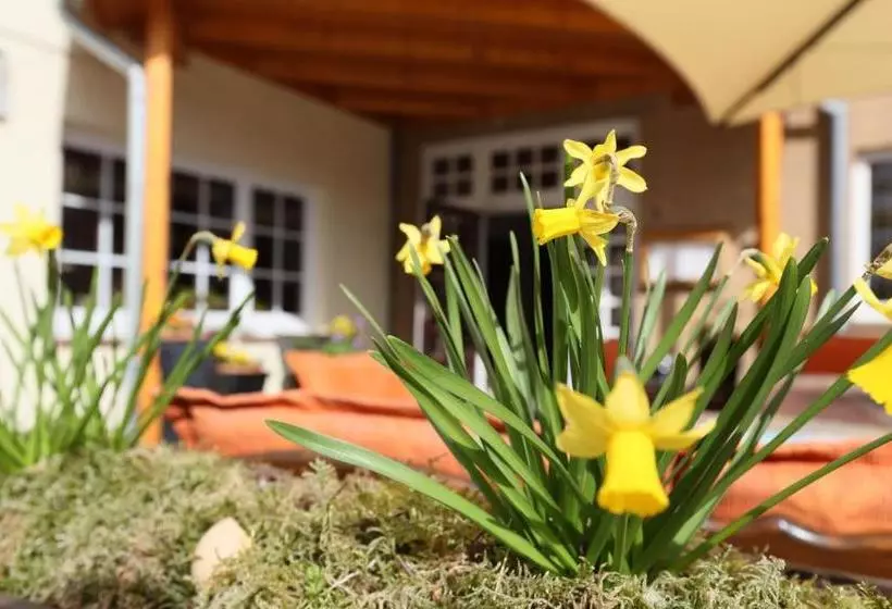 Отель Jeddinger Hof Land  Und Seminar