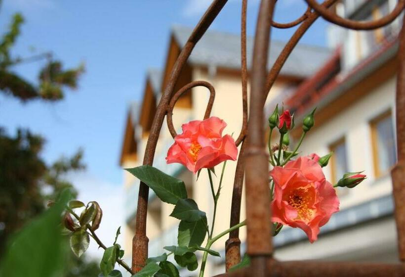 Landhotel Gasthof Grüner Baum