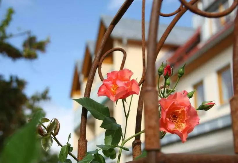 Landhotel Gasthof Grüner Baum