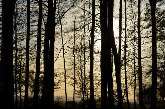 Отель Spessartstuben