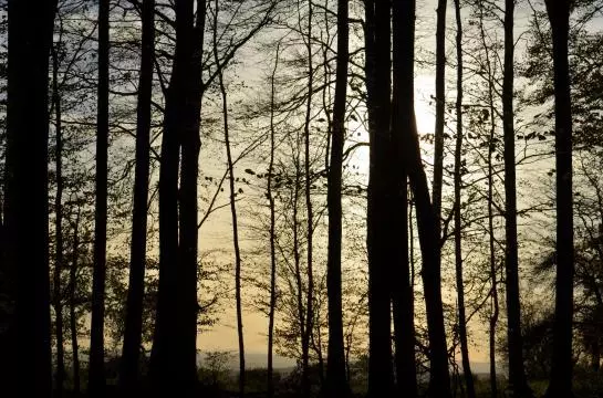 Отель Spessartstuben