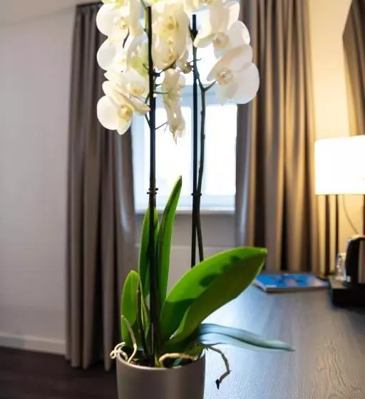 Отель Weißes Ross