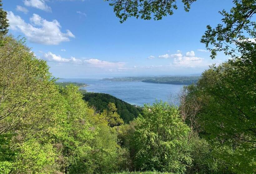 Pansiyon Gasthaus Traube, Ludwigshafen, Bodensee, Seenah Gelegen