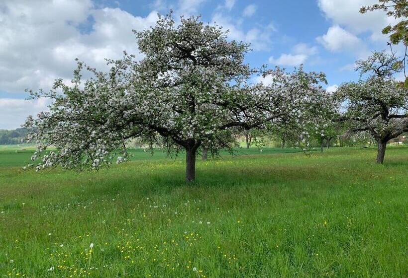 Pansiyon Gasthaus Traube, Ludwigshafen, Bodensee, Seenah Gelegen