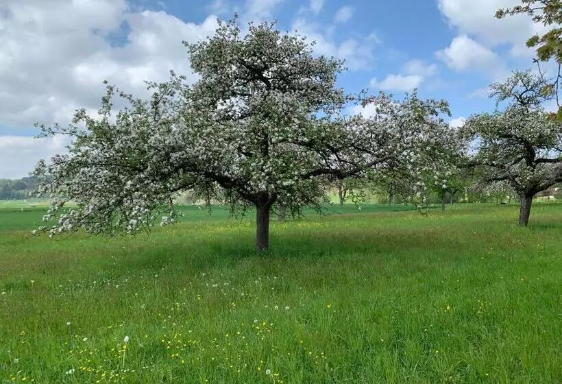 펜션 Gasthaus Traube, Ludwigshafen, Bodensee, Seenah Gelegen