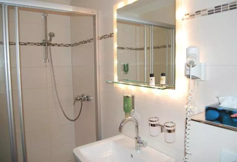 ペンション Grüner Baum Mit Restaurant & Wellness