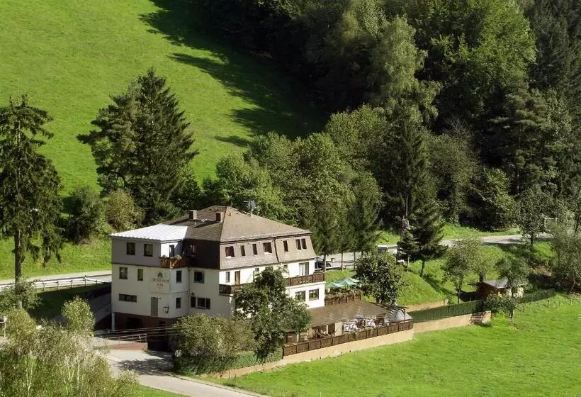 ペンション Grüner Baum Mit Restaurant & Wellness