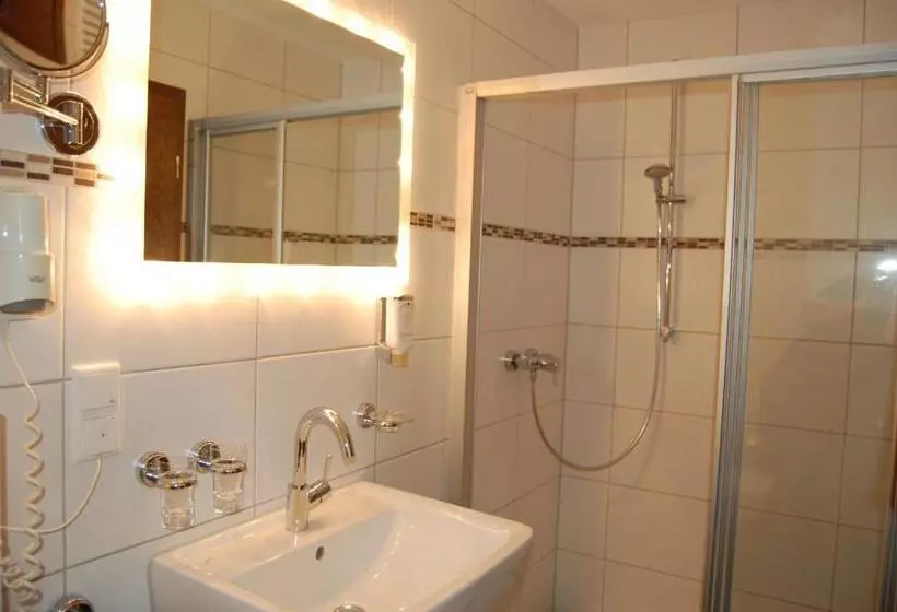 ペンション Grüner Baum Mit Restaurant & Wellness