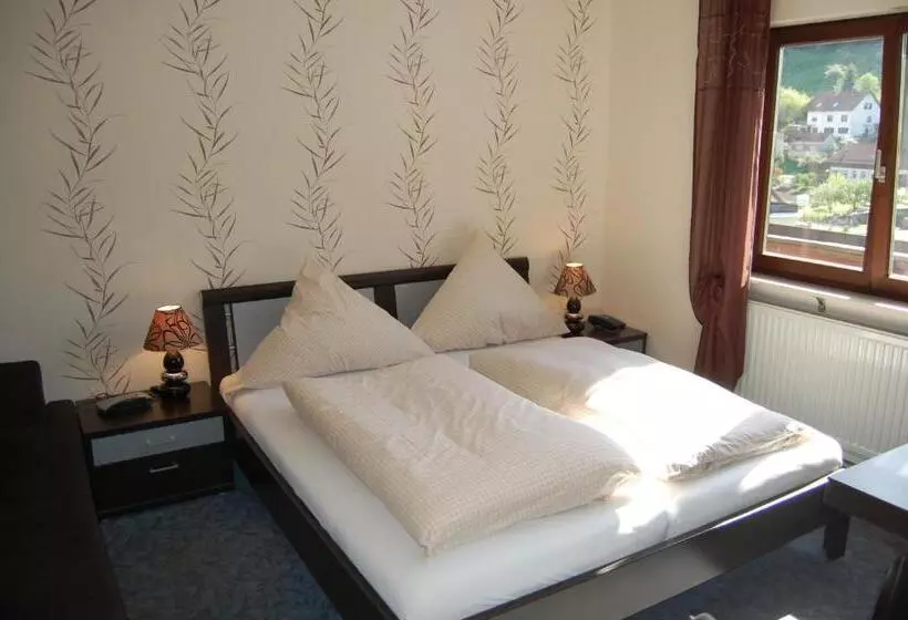 ペンション Grüner Baum Mit Restaurant & Wellness