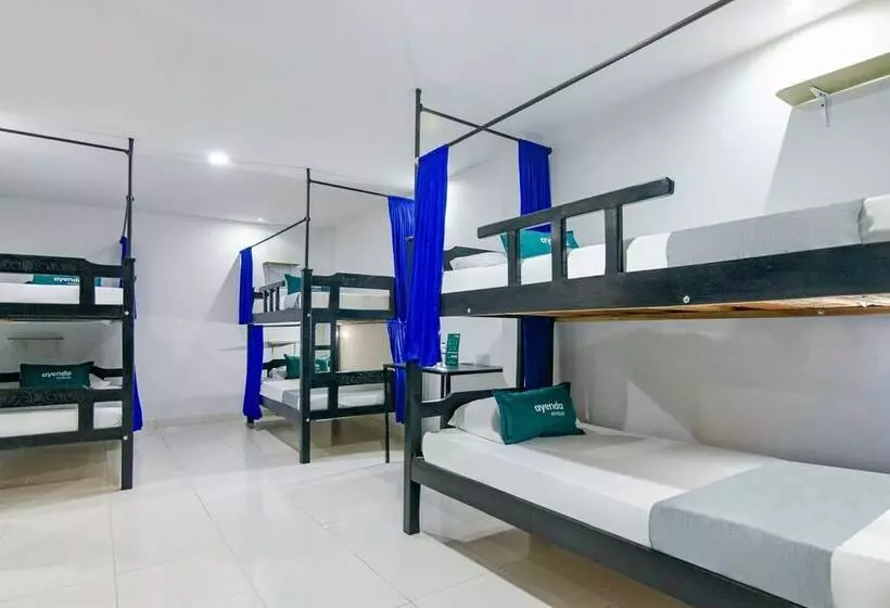 Hotelli Caribe Confort