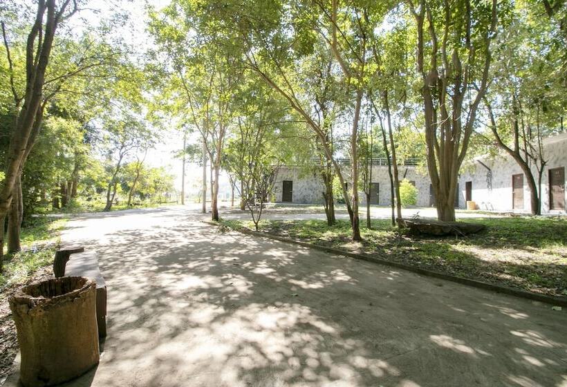 فندق Baan Rak Mai By Oyo  Rooms