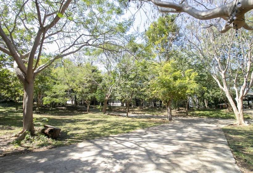 فندق Baan Rak Mai By Oyo  Rooms