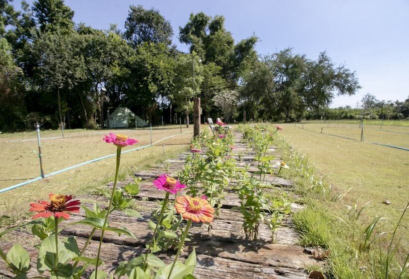 فندق Baan Rak Mai By Oyo  Rooms