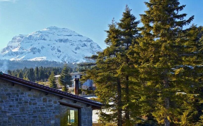 Отель Anavasi Mountain Resort