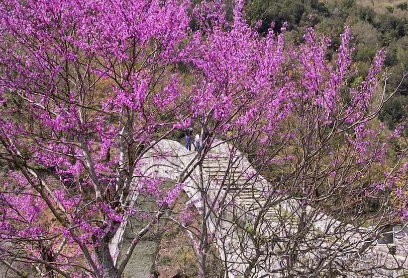 Отель Anavasi Mountain Resort