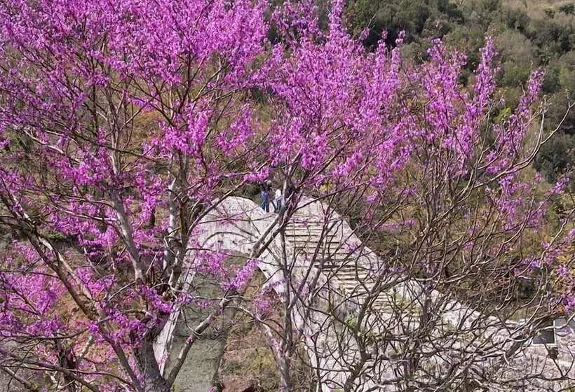 ホテル Anavasi Mountain Resort