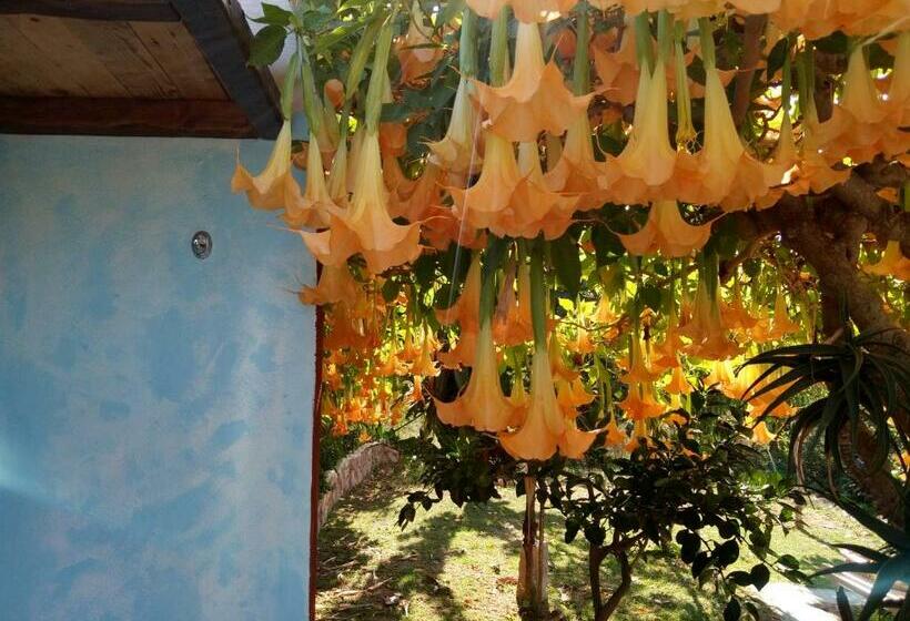 Bungalow La Madonnina