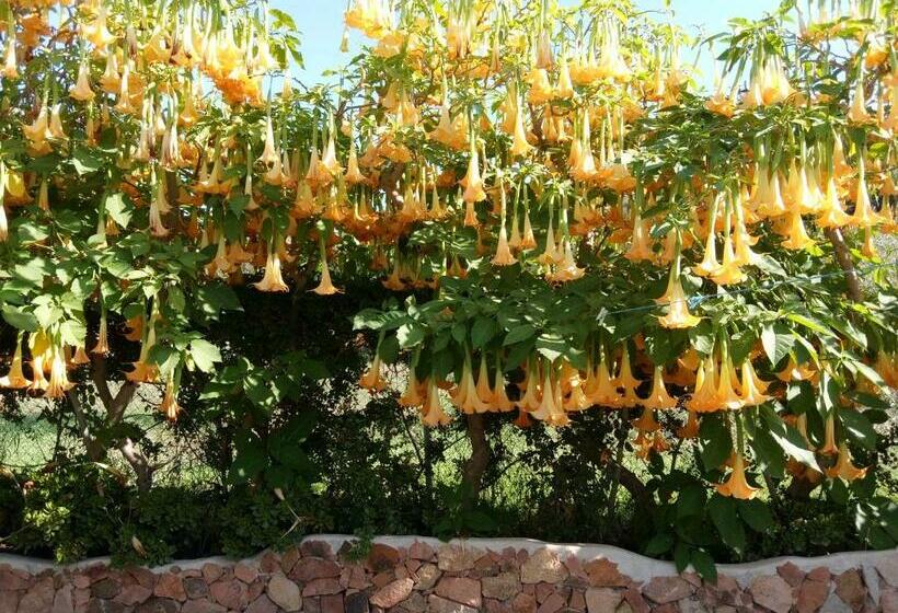 Bungalow La Madonnina