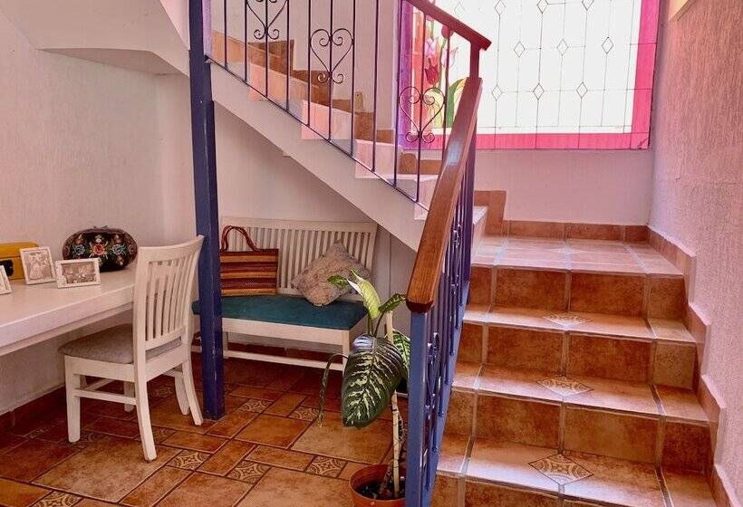 Отель Mi Casa En Coyoacan