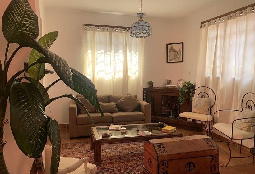 Отель Mi Casa En Coyoacan