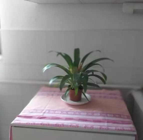 ペンション Malomtavi Vendégház Tapolca