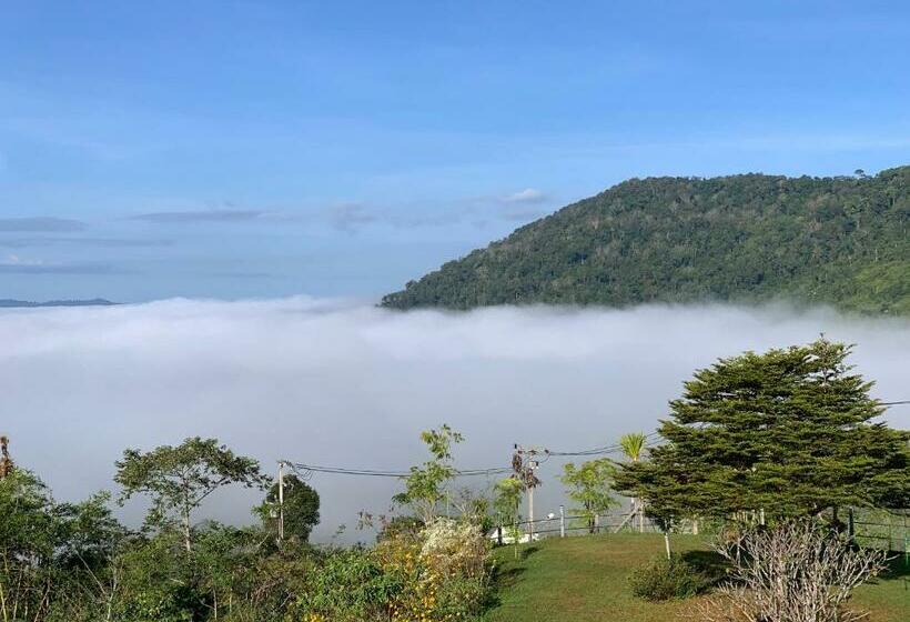 Bed and Breakfast Feel The Fog