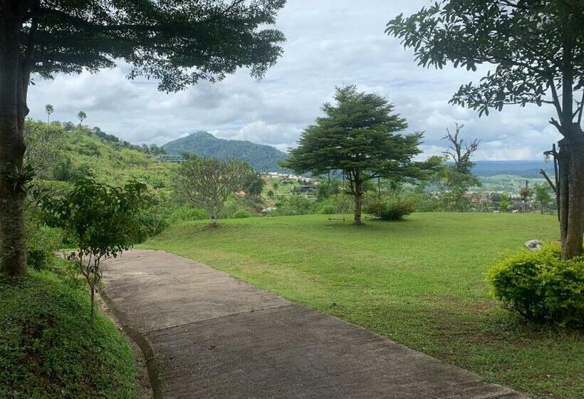 Bed and Breakfast Feel The Fog