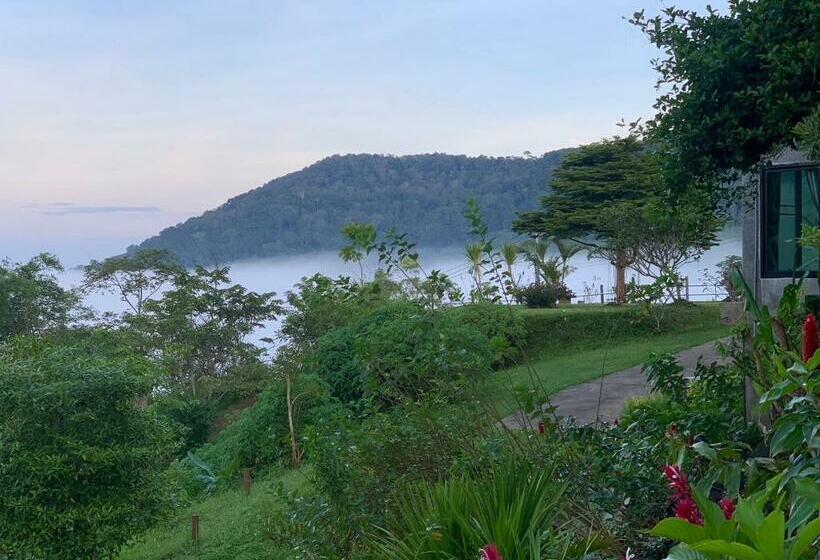 Bed and Breakfast Feel The Fog