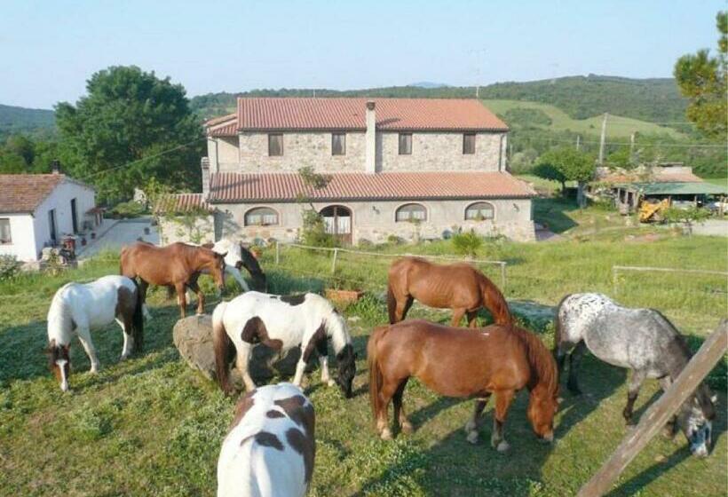 Отель Tenuta Sant Agnese