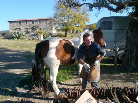 Отель Tenuta Sant Agnese