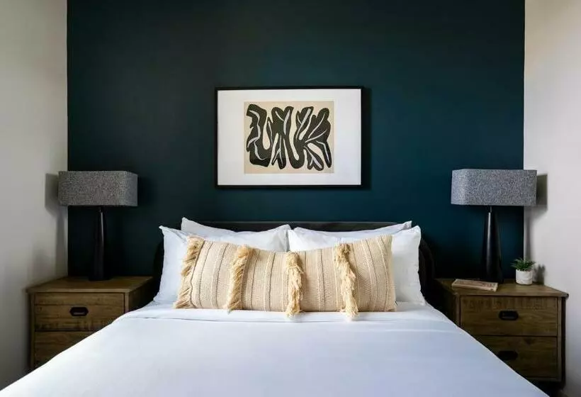 Kasa Archive Reno Tahoe