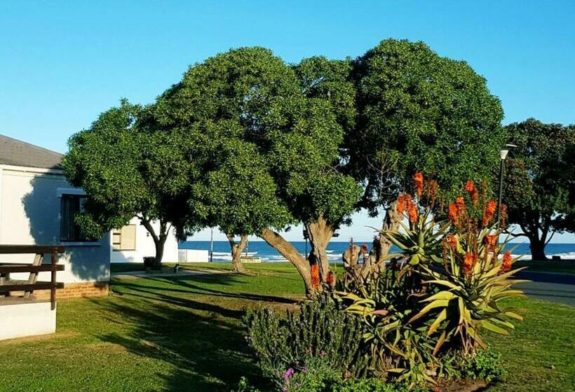 Pension 4 On Hoffman Seaview