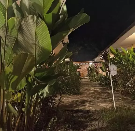 ペンション Bijao Hostel