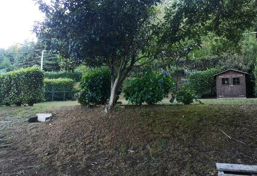 Appartamento Con Spiaggia Privata Sul Lago D Orta