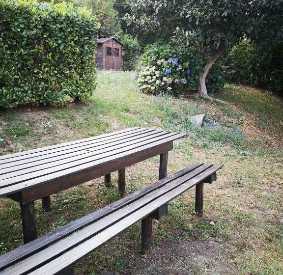 Appartamento Con Spiaggia Privata Sul Lago D Orta