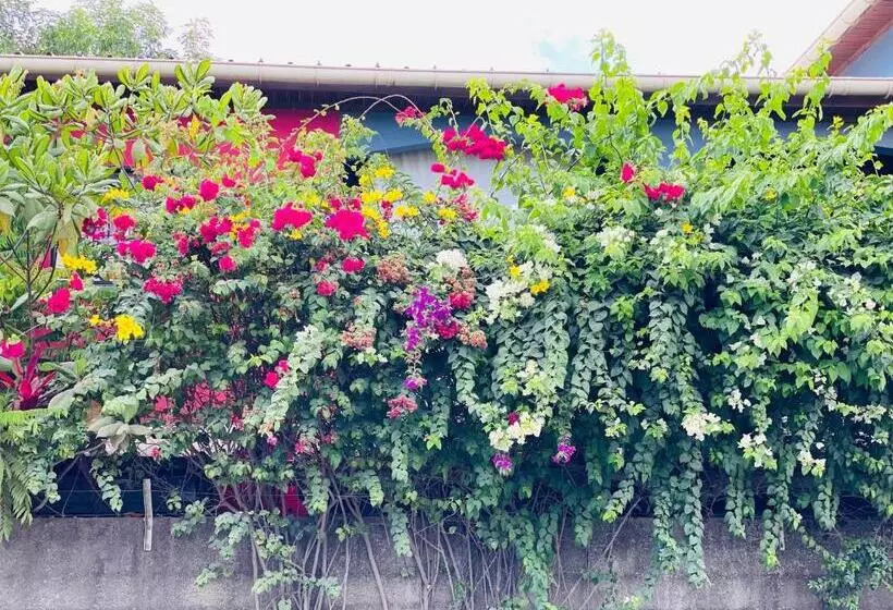 تختخواب و صبحانه Moya Résidence By Md