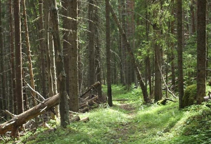 Cozy Stuga   Mountain View