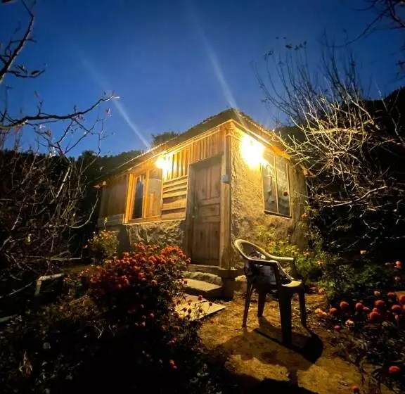 ホテル Basic Hut In An Orchard Rehn Village