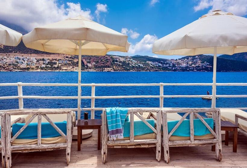 Aamiaismajoitus (B&B) Kalkan Asfiya