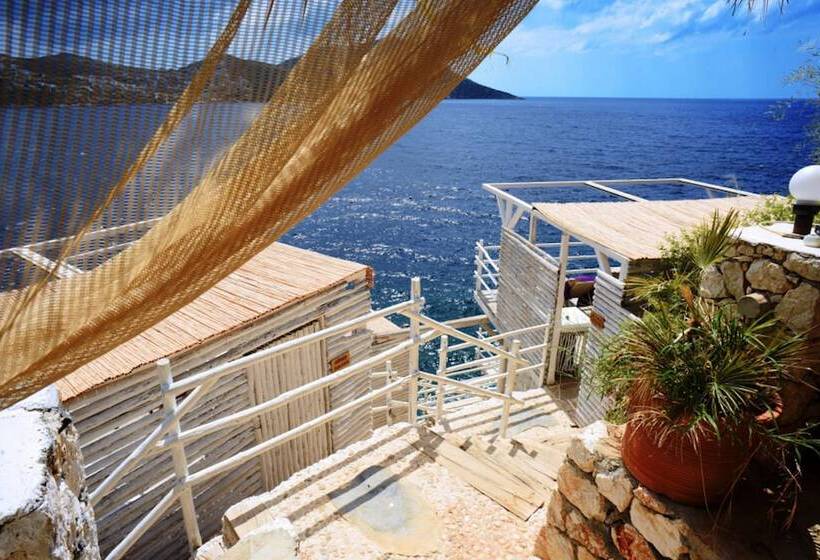 Aamiaismajoitus (B&B) Kalkan Asfiya